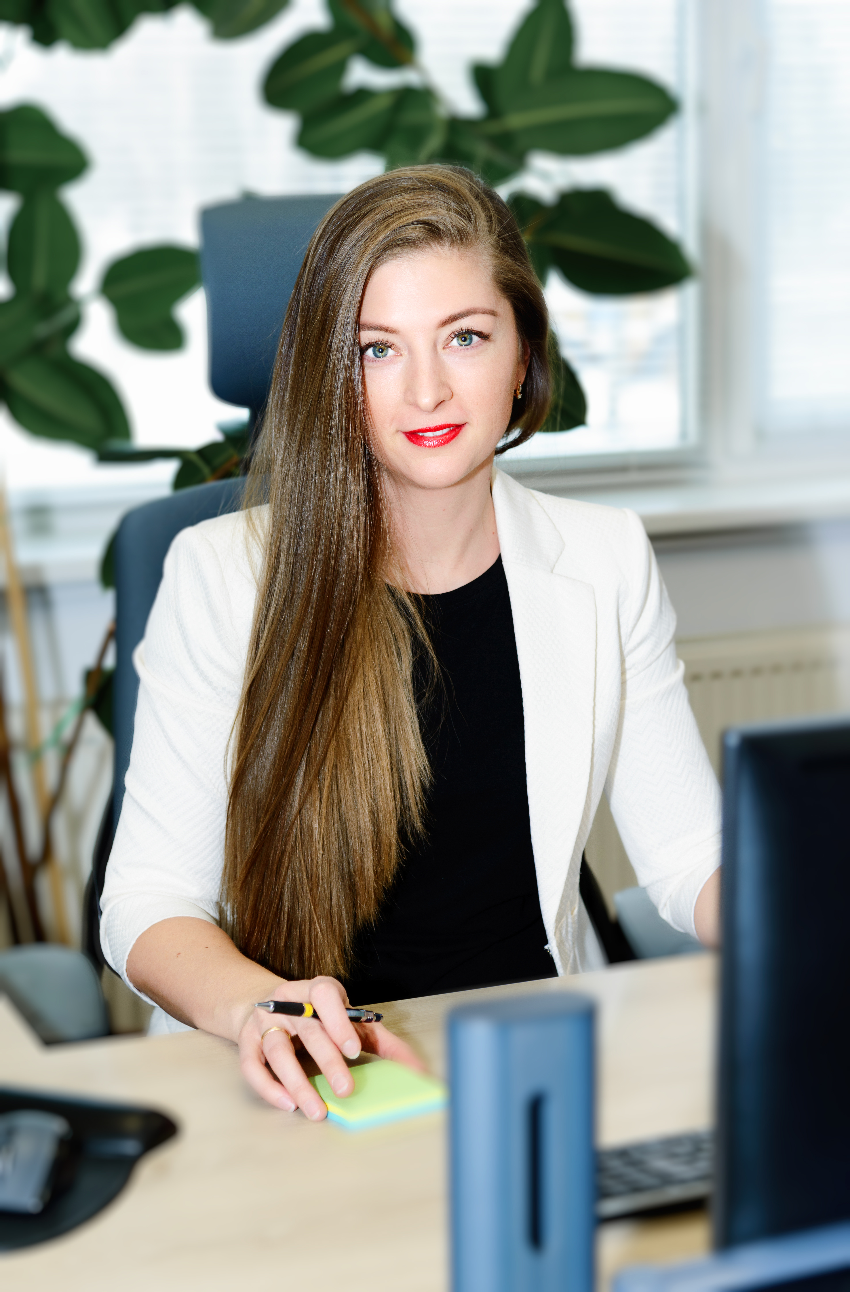 Selge plaan ja tööjaotus raamatupidamises – L.L Corrector OÜ